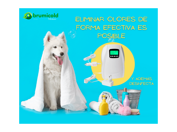 Eliminar olor mascota de forma efectiva