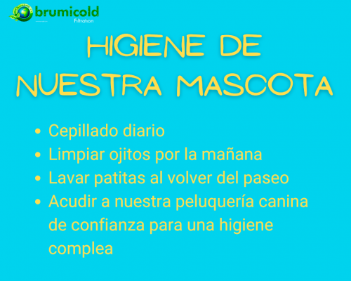 higiene básica de nuestra mascota