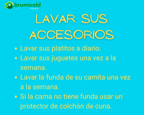 lavar accesorios de nuestra mascota