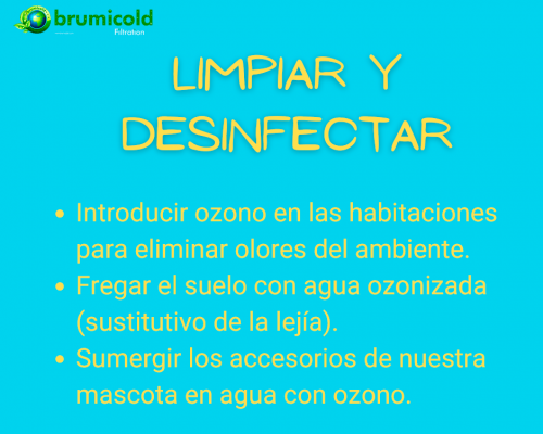 limpiar y desinfectar casa con perro